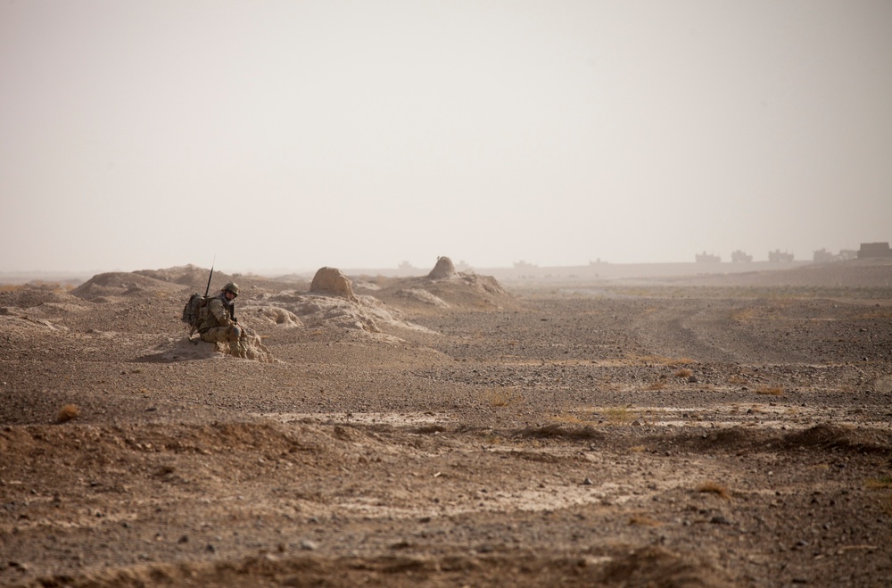 U.S. Marines and Georgian Army Soldiers Conduct Operation Northern Lion