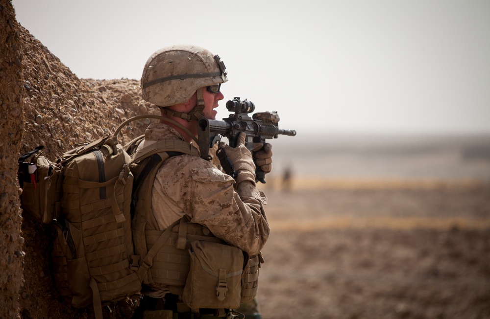 DVIDS - Images - U.S. Marines and Georgian Army Soldiers Conduct ...