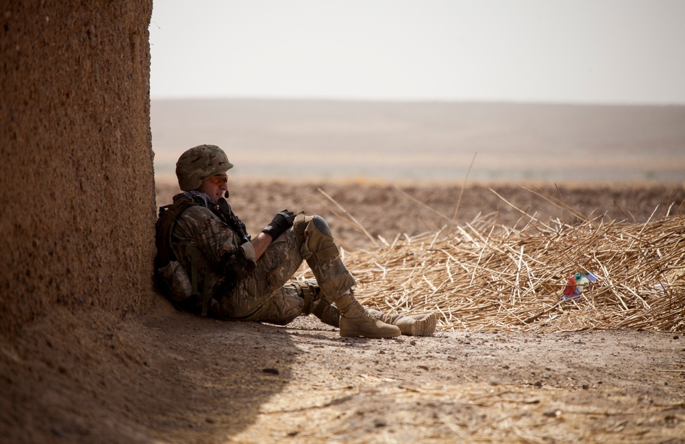 U.S. Marines and Georgian Army Soldiers Conduct Operation Northern Lion