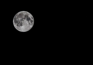 Coalition Forces Prepare for Operation Northern Lion