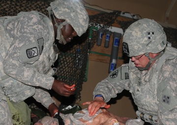 Running the gauntlet