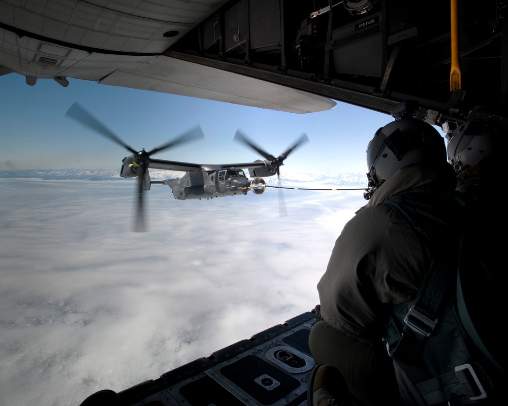 Ospreys migrate to England