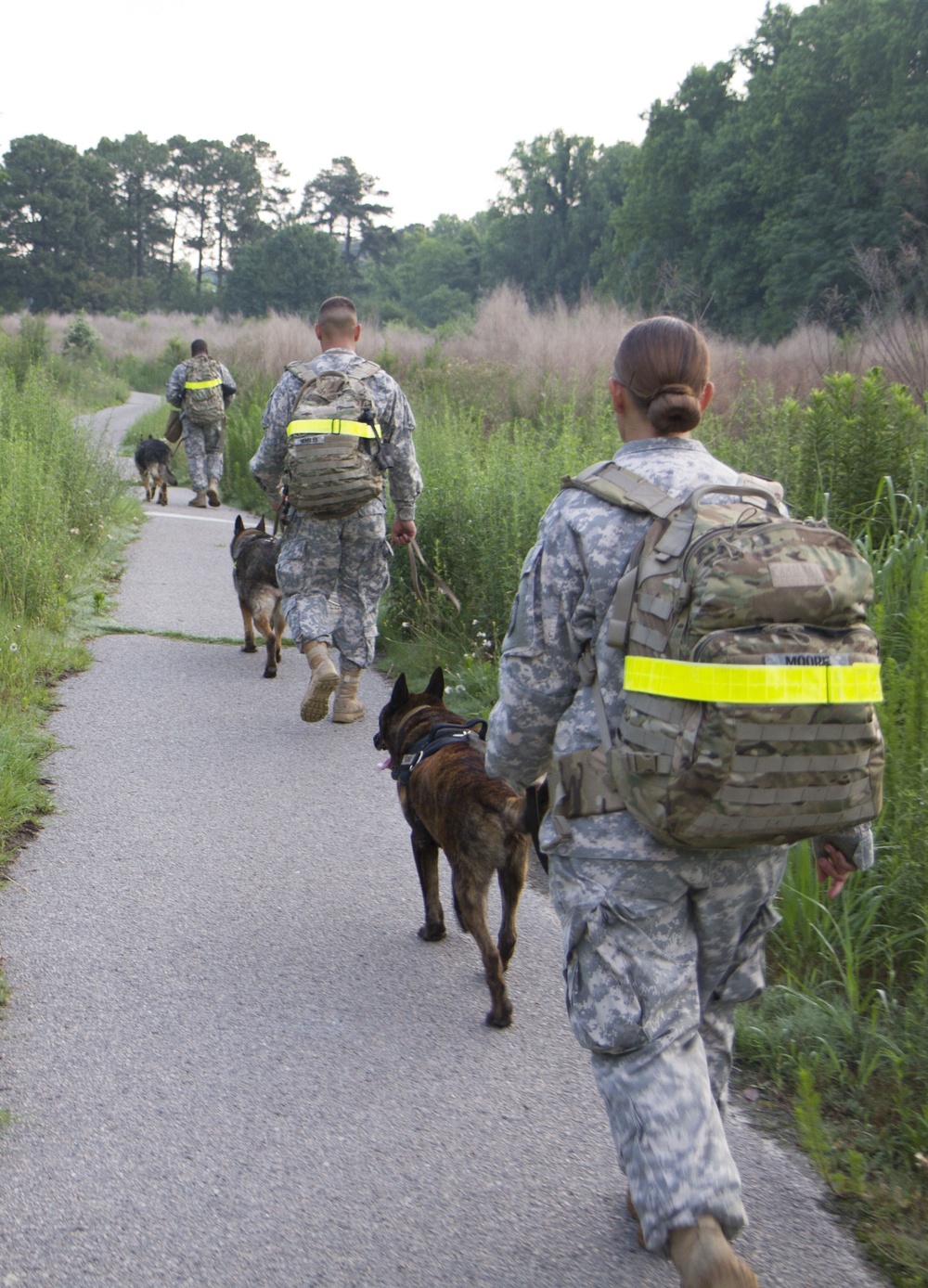 Ahead of the pack: Military working dog and his handler to lead searches in Afghanistan