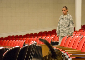 Ahead of the pack: Military working dog and his handler to lead searches in Afghanistan