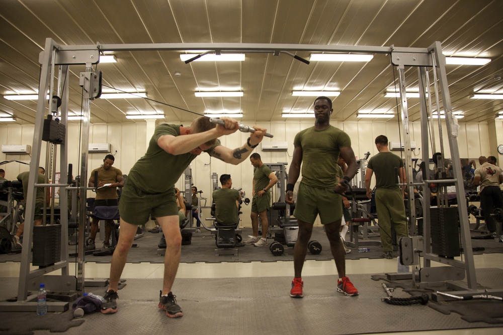 U.S. Marines Maintain Their Physical Fitness on Camp Leatherneck