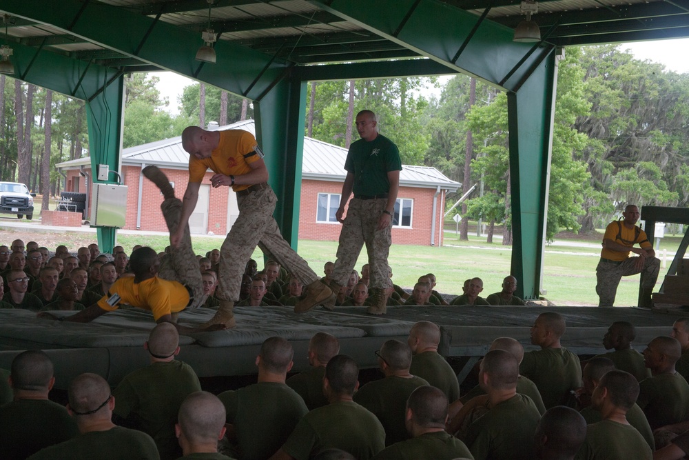 Recruits practice martial arts techniques during training on Parris Island