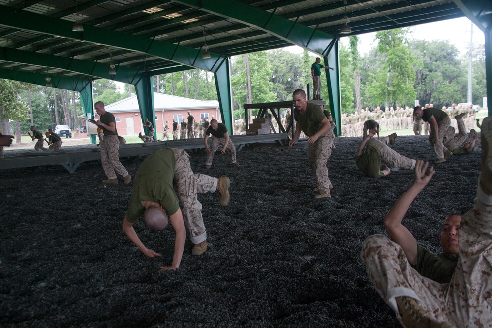 Recruits practice martial arts techniques during training on Parris Island