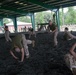 Recruits practice martial arts techniques during training on Parris Island