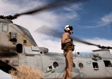 Integrated Training Exercise