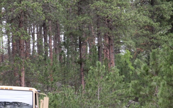 Military personnel in camouflage uniforms are conducting a training exercise along a forest road. A tan military truck marked 'SDNG 196MEB 153 ENBN HHC 43' is stopped on the dirt path, with soldiers taking tactical positions around it. At least one Humvee is visible in the background, suggesting a convoy security or ambush response drill.