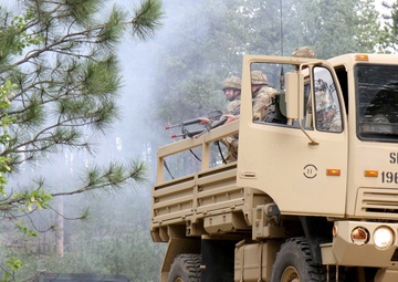 Golden Coyote exercise