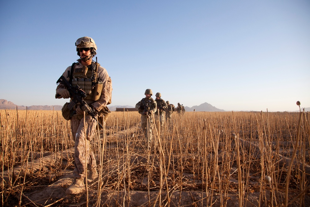 U.S. Marines and Georgian Army Soldiers Conduct Operation Northern Lion II, Part II