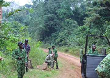 Special-Purpose MAGTF Africa Marines, Sailors complete engagement in Gabon