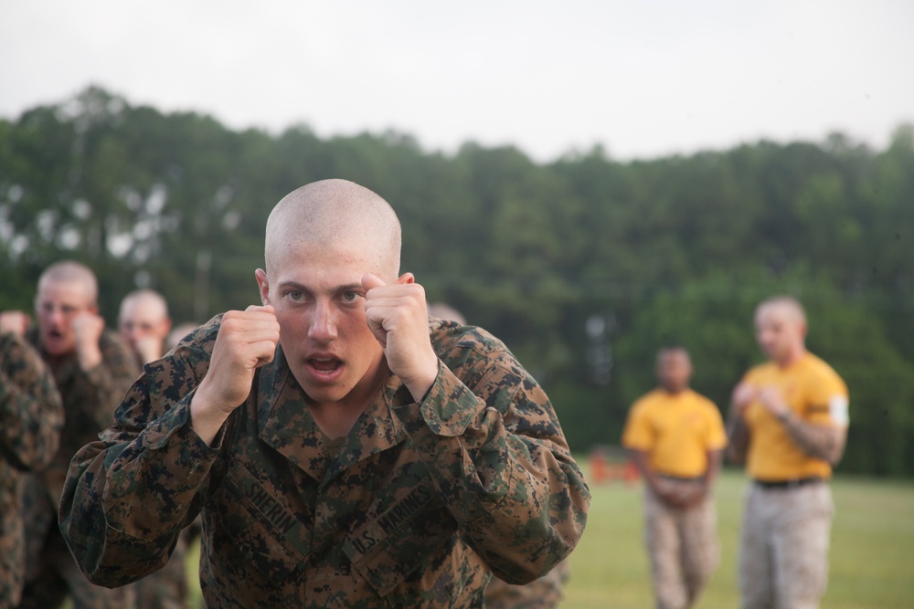 Marine recruits increase endurance during martial arts course on Parris Island