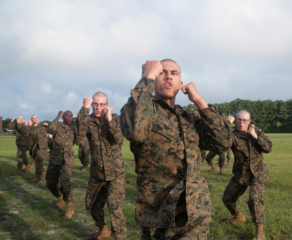 Marine recruits increase endurance during martial arts course on Parris Island