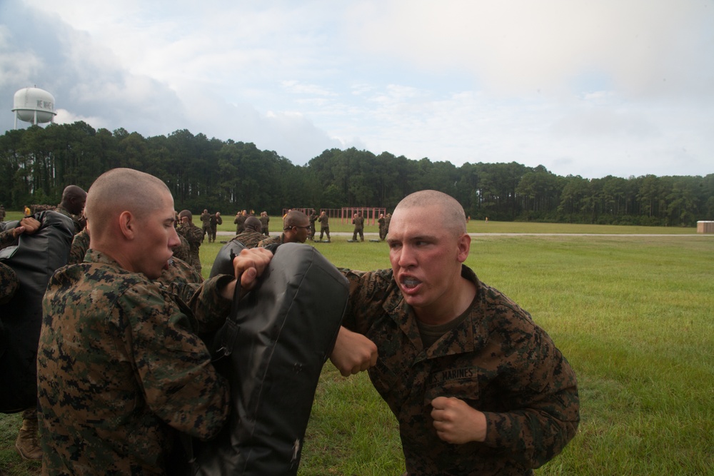 Marine recruits increase endurance during martial arts course on Parris Island