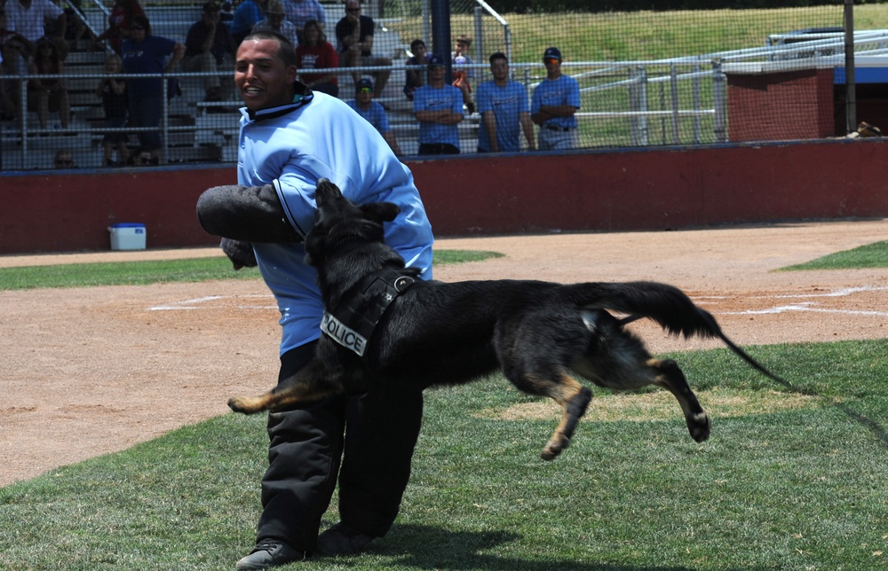 22nd SFS demonstrates working dog capabilites to public