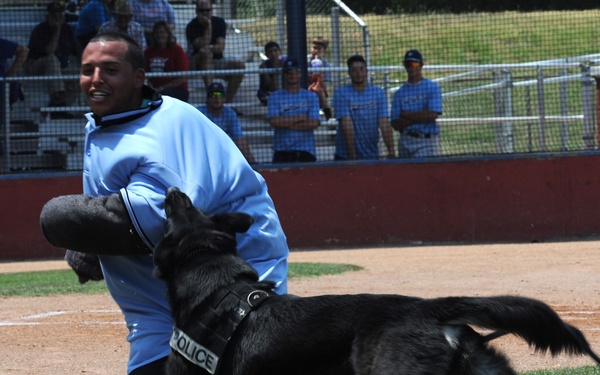 22nd SFS demonstrates working dog capabilites to public