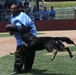 22nd SFS demonstrates working dog capabilites to public