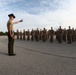 Parris Island recruits take first steps toward Marine Corps discipline with drill