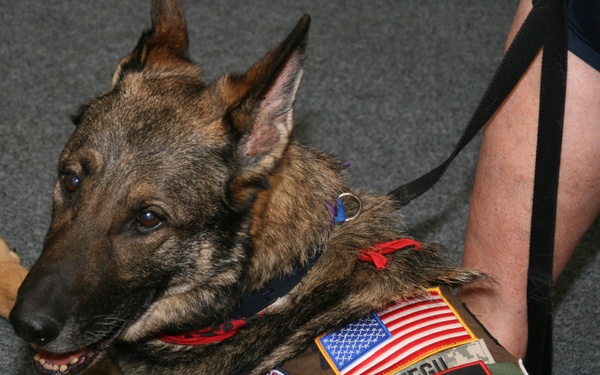 Ceremony honors military service