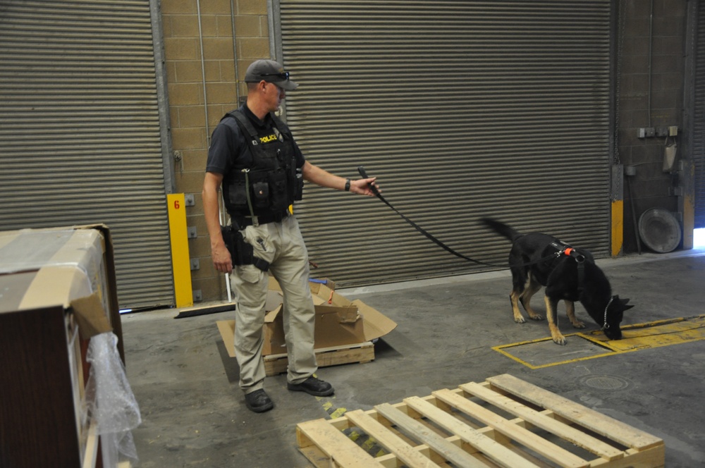 Four legs, one goal: K-9s train day-in and day-out