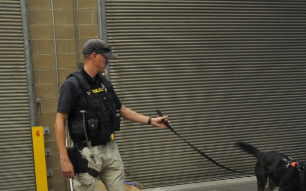 Four legs, one goal: K-9s train day-in and day-out