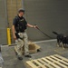 Four legs, one goal: K-9s train day-in and day-out