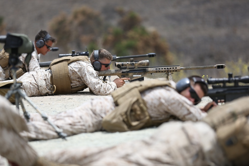 Light armored reconnaissance Marines train with .50 caliber sniper rifle