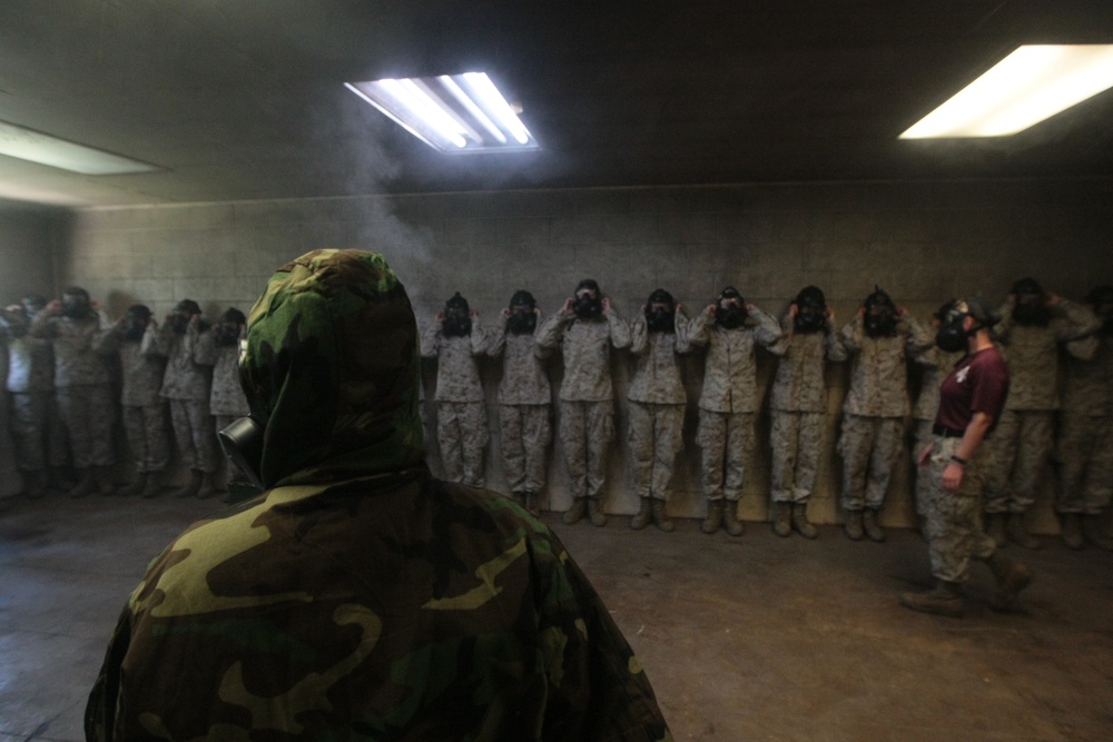 Photo Gallery: Marine recruits train to survive chemical attacks on Parris Island