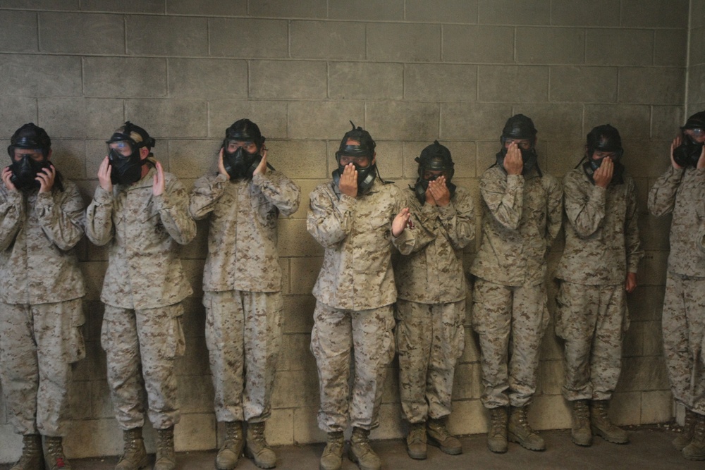 Photo Gallery: Marine recruits train to survive chemical attacks on Parris Island