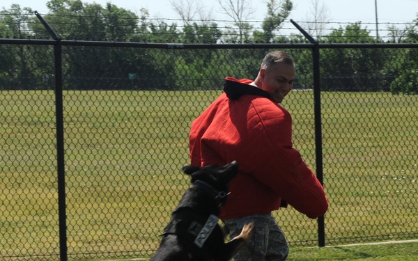 22nd MSG commander experiences force of working dog