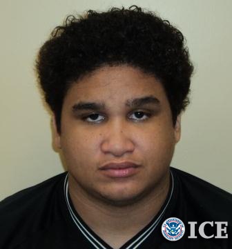 ICE arrests child predators in Operation iGuardian