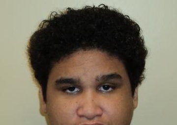 ICE arrests child predators in Operation iGuardian