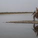 Marines with Echo Co., 2/8 Conduct a Security Patrol