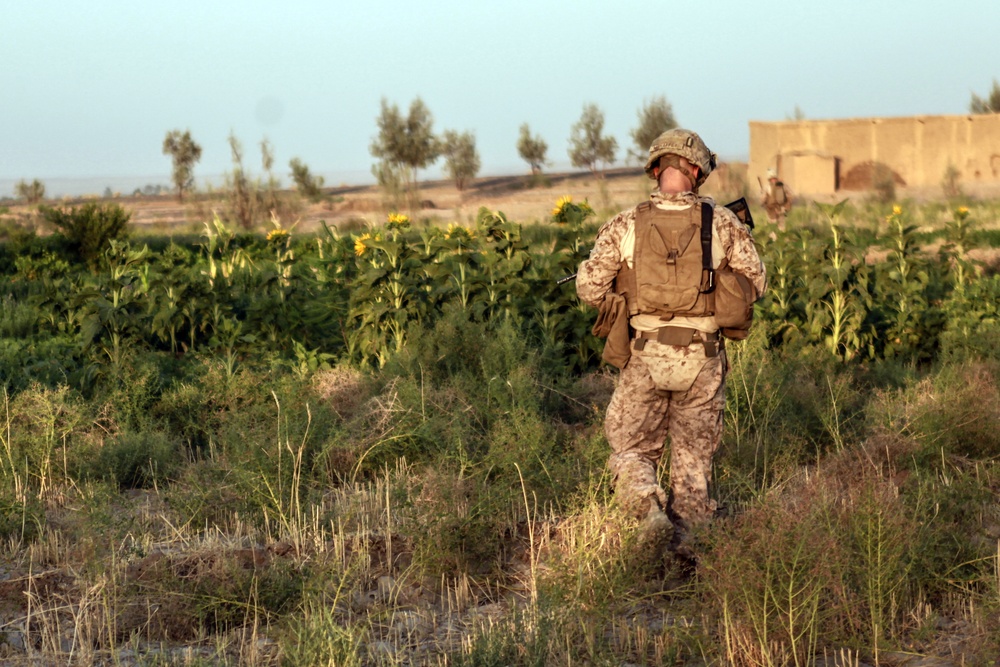 Marines with Echo Co., 2/8 Conduct a Security Patrol