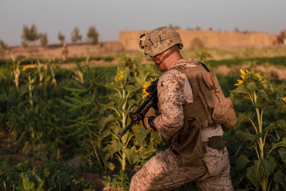 Marines with Echo Co., 2/8 Conduct a Security Patrol