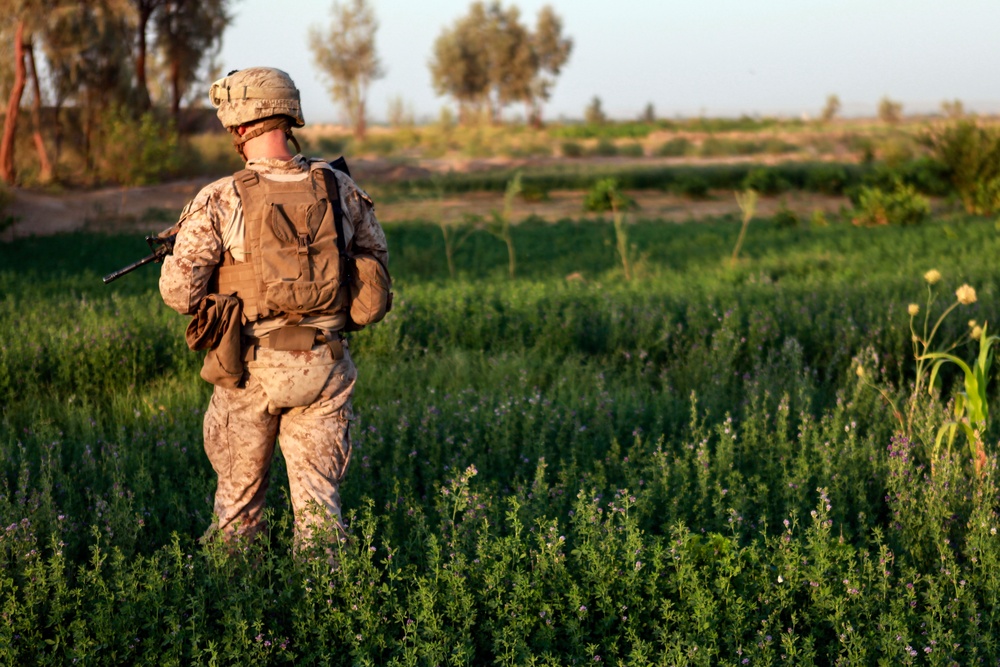 Marines with Echo Co., 2/8 Conduct a Security Patrol