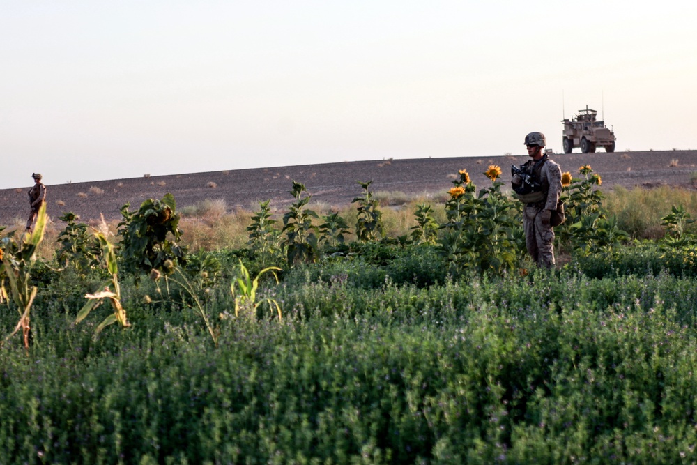 Marines with Echo Co., 2/8 Conduct a Security Patrol