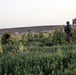 Marines with Echo Co., 2/8 Conduct a Security Patrol