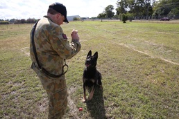 Airmen, military working dogs keep troops safe at Talisman Saber 2013