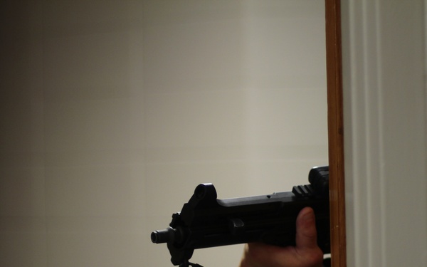 Professional bad guys