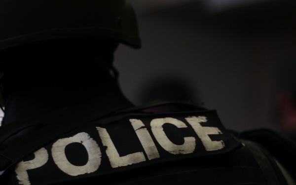 Professional bad guys