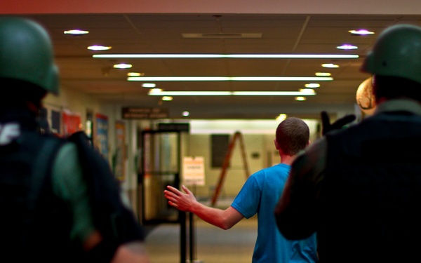 Professional bad guys