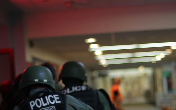 Professional bad guys