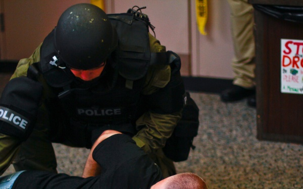 Professional bad guys