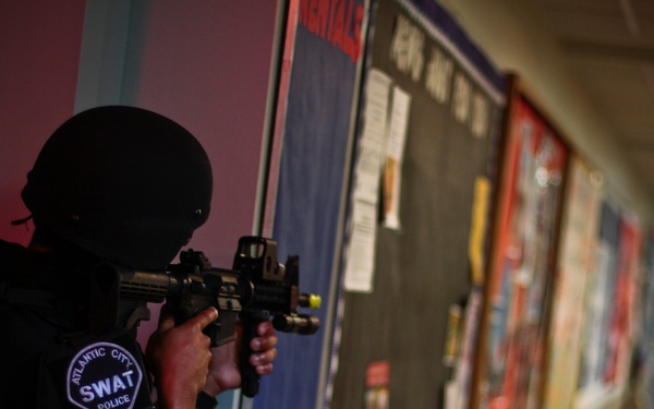 Professional bad guys