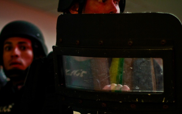 Professional bad guys