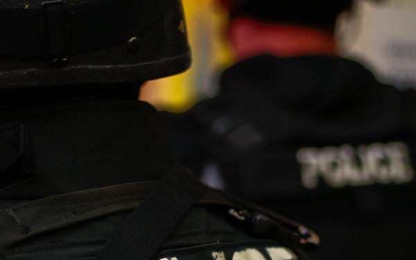 Professional bad guys