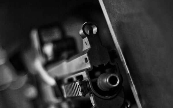 Professional bad guys